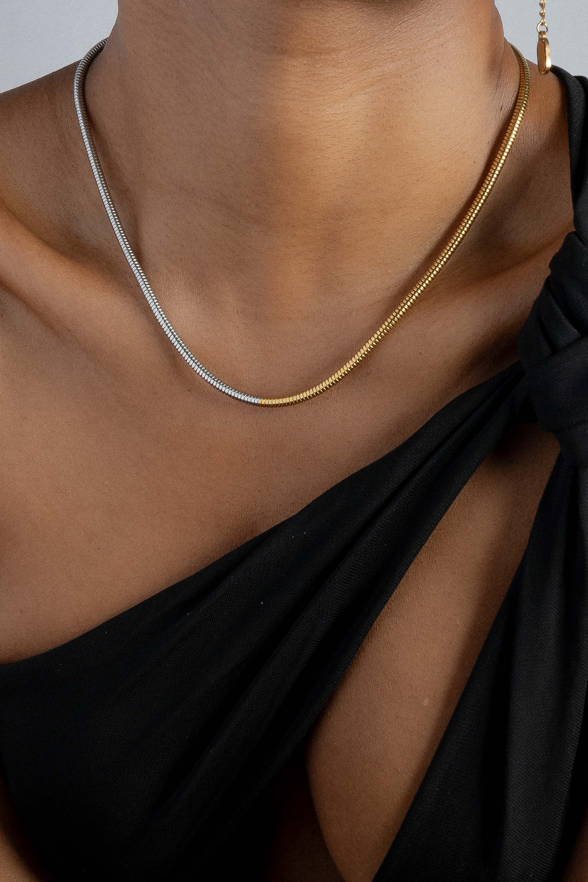 Mixed Metal Snake Chain - Large